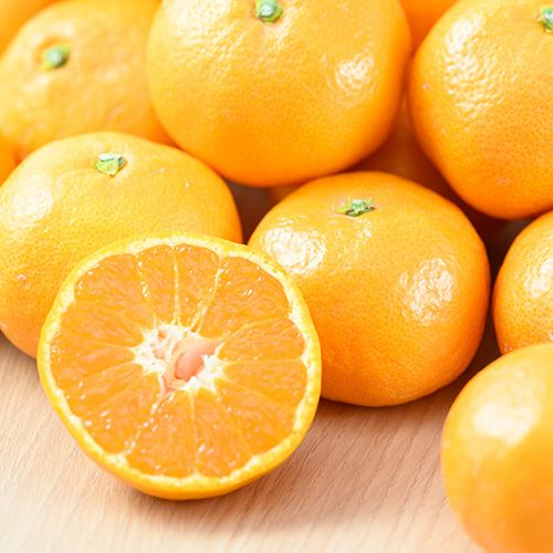 【お試し用】和歌山 有田みかんSSｻｲｽﾞ1.2kg