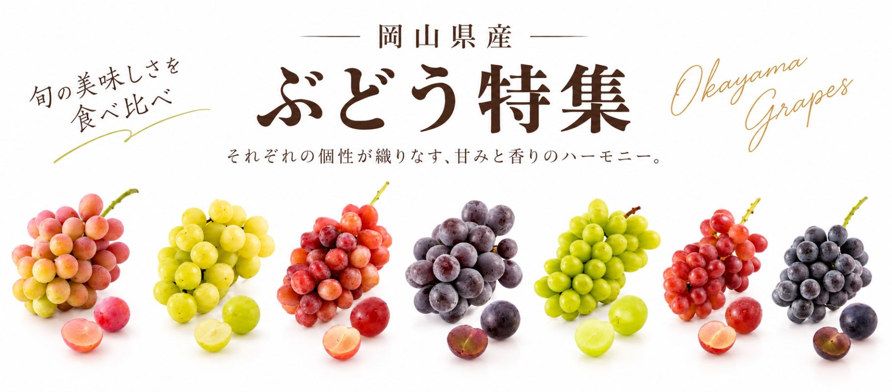 岡山県産 ぶどう特集
