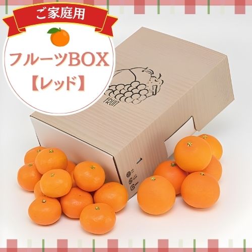 【送料無料】フルーツBOX〈レッド〉
