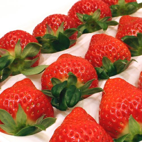 柴田さんのいちご