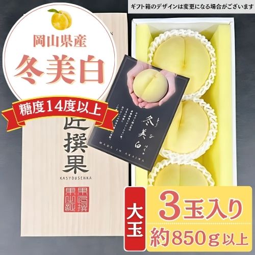 冬美白 特選ギフト