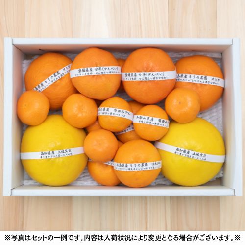 【送料無料】旬柑橘のバラエティBOX