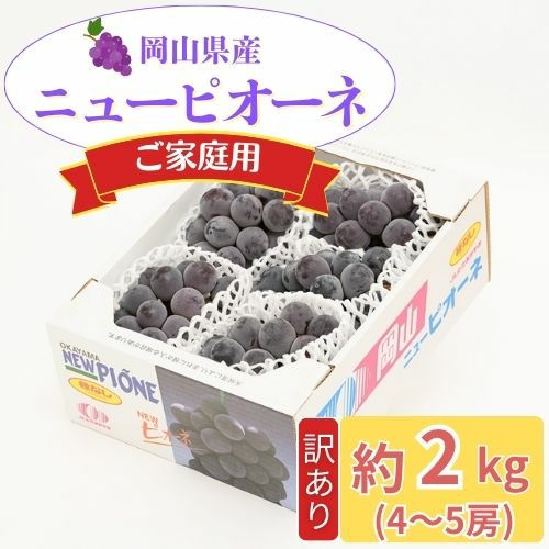 ニューピオーネ