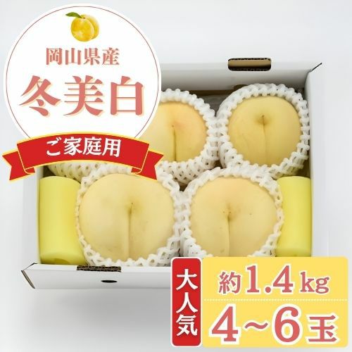 岡山県産一宮ブランド冬美白 冬美白 | くらしき桃子 公式オンラインショップ
