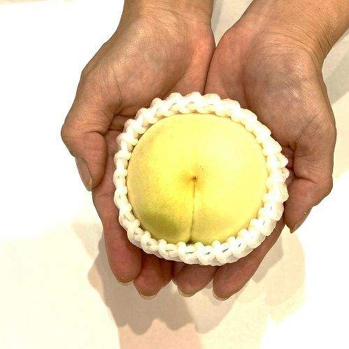 ギフト】岡山県産 冬桃がたり（ロイヤル） | くらしき桃子 EC