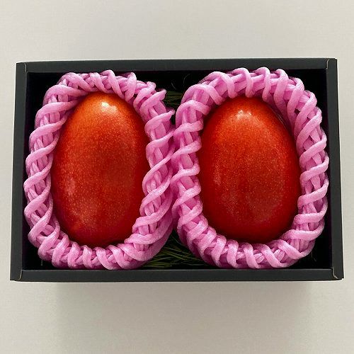 宮崎県産 完熟マンゴー 2Lサイズ 青秀 2玉 | くらしき桃子 EC